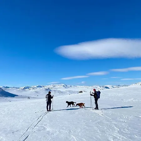 Hyggelig I Sentrum Apartamento Hemsedal