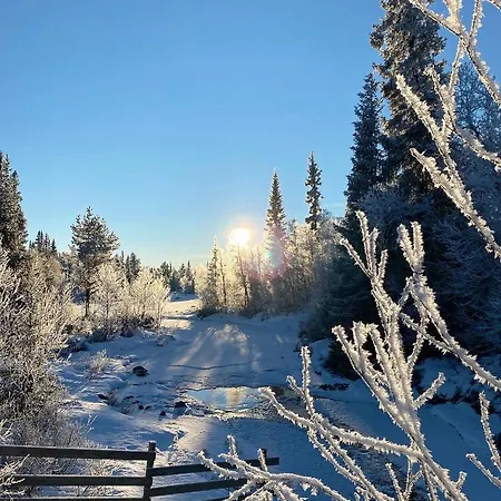 Hyggelig I Sentrum * Hemsedal