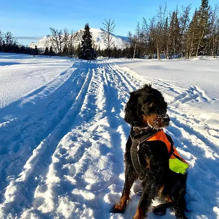 Hyggelig I Sentrum *