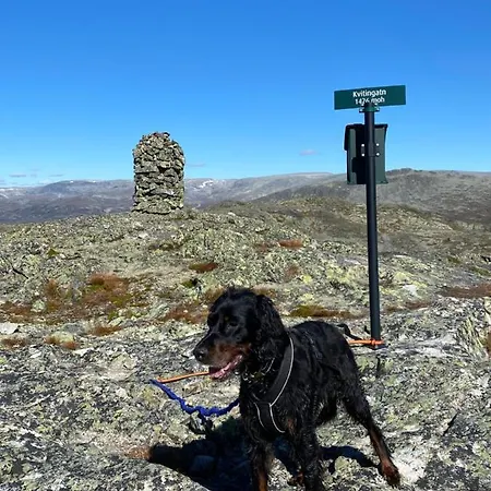 Hyggelig I Sentrum Hemsedal