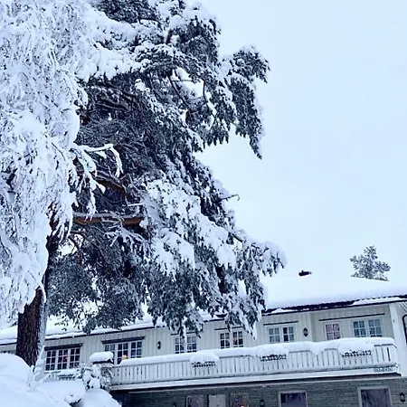 Hyggelig I Sentrum Hemsedal