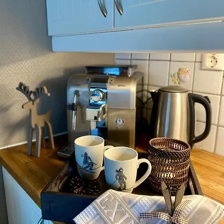Hyggelig I Sentrum Appartement Hemsedal