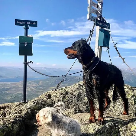 Appartement Hyggelig I Sentrum