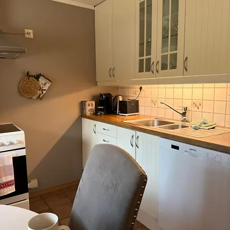 Appartement Hyggelig I Sentrum *